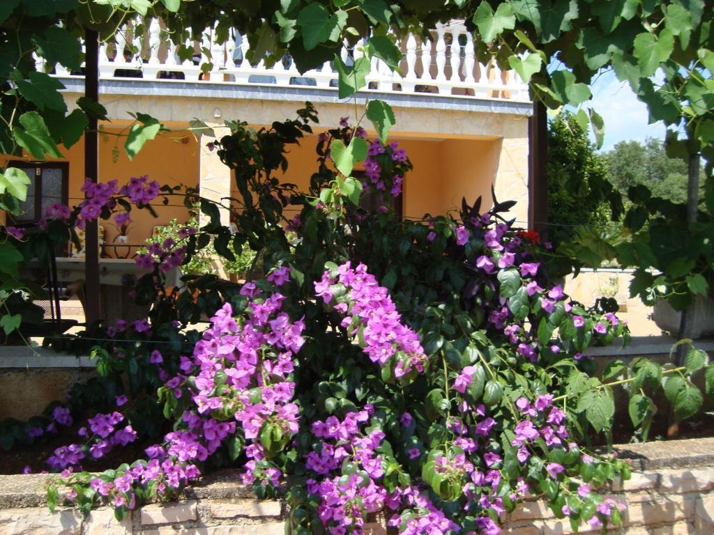 Apartments Alice Green Oasis - Porec Bilik gambar